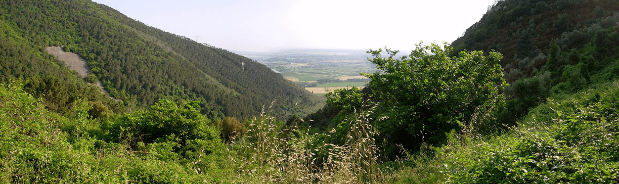 panorama della valle delle fonti dal Mirteto